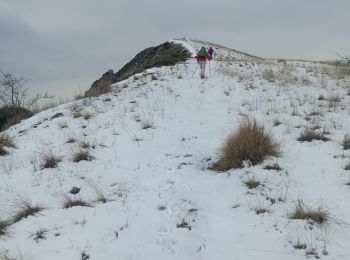 Trail Walking Saint-Geniez - Le Trainon - Photo
