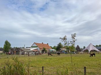 Excursión Senderismo Nieuwpoort - Nieuwport- La Panne - Photo