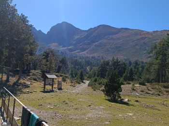 Excursión Senderismo Casteil - Jour 2 Pic du Canigou  - Photo