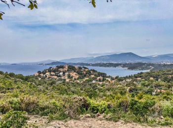 Trail Walking Le Pradet - pointe du baou rouge - Photo