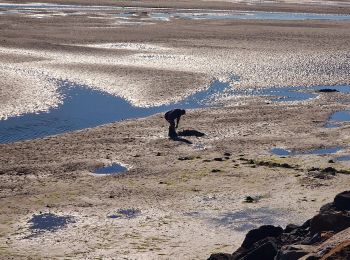 Tour Wandern Barbâtre - Jeun et Rando J5 - Passage du gois et réserve naturelle - Photo