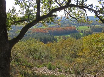 Excursión Senderismo Martel - 11255276-le Mont Mercou depuis Martel - Photo