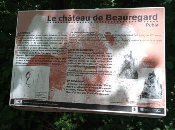 Trail Walking Nogna - Chateau de Beauregard - Photo