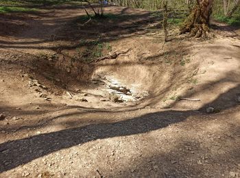 Tocht Mountainbike Méréville - Méréville-Deuille d'Ochey - Photo