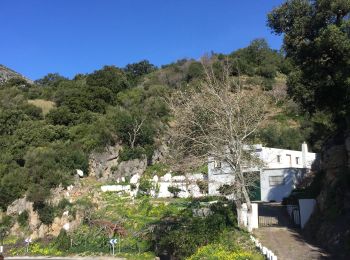 Trail Walking Casares - Casares boucle vautours  - Photo