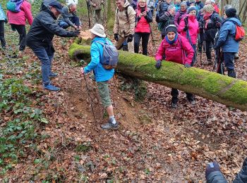 Excursión Senderismo Vauchassis - Balade champs forêts - Photo