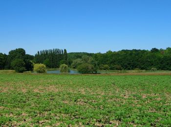 Tour Wandern Saint-Branchs - Saint-Branchs - circuits 4 5 avec variantes - 18.4km 120m 4h00 - 2020 05 31 - Photo