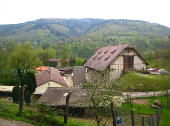 Excursión A pie Desconocido - Rundwanderweg Ziegelhausen 4: Mausbachwiesen-Weg - Photo