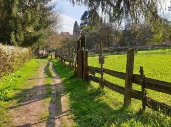 Trail Walking Ottignies-Louvain-la-Neuve - Stimont - Photo