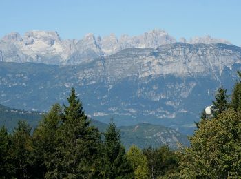 Percorso A piedi Trento - Senter delle pegore - Photo