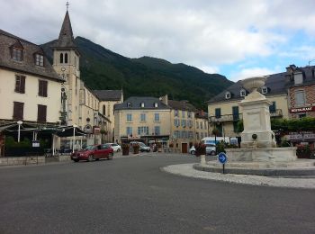 Trail On foot Laruns - L'eau - Photo