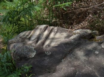 Tour Wandern Saint-Pardoux-et-Vielvic - Belvès Camp César - Photo