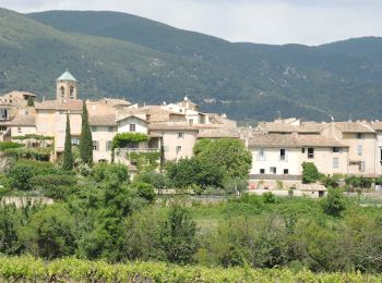 Trail Walking Cadenet - PF-Cadenet - De Cadenet à Lourmarin - 1 - Photo