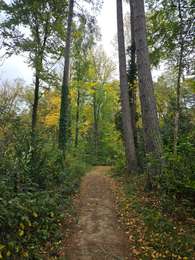 Tour Wandern Seraing - A la découverte des Bois de Seraing avec Koda 🐕🥾 - Photo