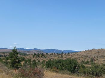 Excursión Senderismo Blandas - Causse de Blandas et Vallée de la Vis  - Photo