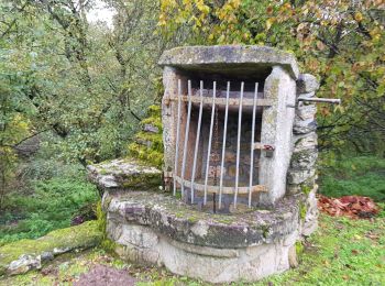 Tocht Stappen Saint-Plantaire - le rocher de la fileuse - Photo