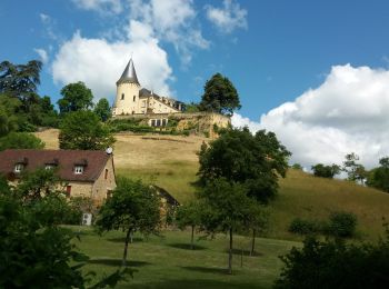 Randonnée Marche Plazac - boucle des moulins à vent - Photo