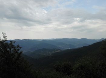 Trail Walking Ranspach - GTVosges - Étape 5 - Markstein - Thann - Photo