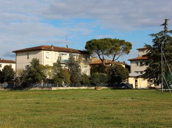 Randonnée A pied Montaione - Dolce campagna antiche mura 11 - Photo