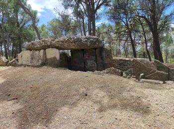 Trail Walking Cesseras - 2023-04-08_21h30m21_Cesseras 10kms - Photo