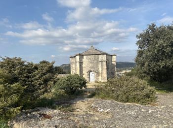 Randonnée sport Saint-Restitut - St Restitut, Chabrieres, le Barry - Photo