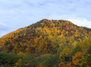 Percorso A piedi 南区 - 札幌岳冷水ルート - Photo