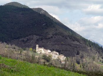 Percorso A piedi Arrone - Via di Francesco - Tappa 9 Arrone-Ceselli - Photo