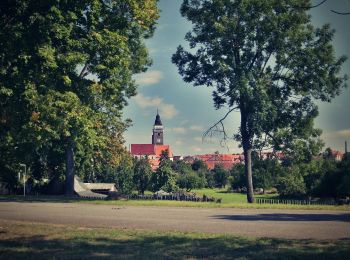 Excursión A pie Slavonice - Graselova stezka (G) - Slavonice - Photo