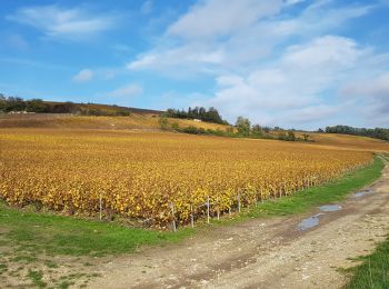 Trail Walking Château-Thierry - Château-Thierry - la Côte 204 - Photo