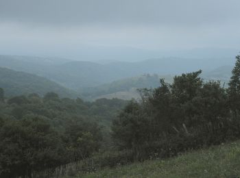 Excursión A pie  - Sichevița – Ravensca (blue path) - Photo