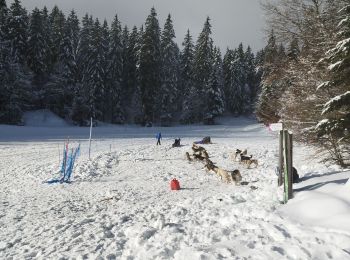 Excursión Raquetas de nieve Villard-de-Lans - meaudre le bas - Photo