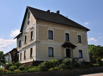 Percorso A piedi Neukirchen bei Lambach - Neukirchen Runde - Photo