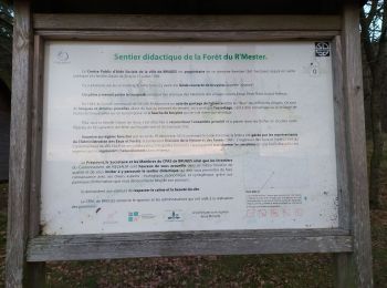 Randonnée Marche Vielsalm - Ennal Logbiermé - Photo