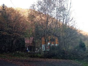 Excursión A pie Wertheim - Liebliches Taubertal – Ehemaliger Rundwanderweg 3 – Wein und Glaube - Photo