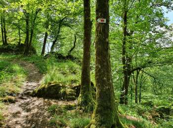 Trail On foot Bouillon - SityTrail - Détails 23 Rocher Lecomte  - Photo