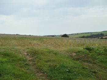 Tocht Te voet South Hams - Avon Estuary Walk - Photo