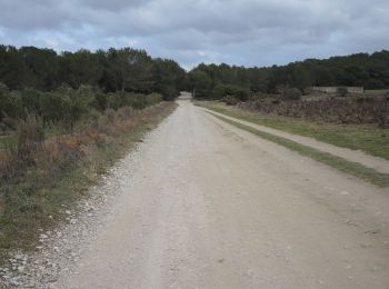 Excursión Senderismo Lançon-Provence - PF-Lançon-Provence - Puits de Castillon - Photo