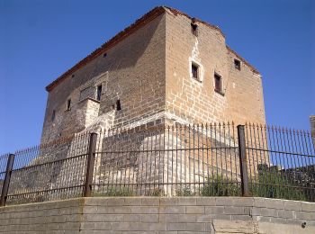 Tour Zu Fuß Torrebesses - Torrebesses, ruta de la pedra seca - Photo