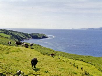 Excursión A pie West Cork - Gortnakilly Loop - Photo