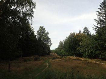 Tour Zu Fuß Leck - Historischer Westlicher Ochsenweg und Langenberger Forst - Photo