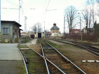 Excursión A pie Týn nad Vltavou - [M] Bechyně - Židova strouha - Photo