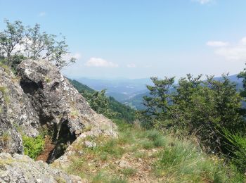 Randonnée Marche Gemaingoutte - col Sainte Marie aux mines - Photo