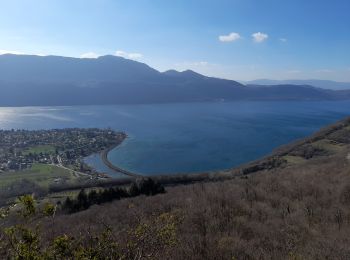 Tocht Stappen Aix-les-Bains - MONT DE CORSUET: FORET DE CORSUET - GROTTE DES FEES via belvédère et croix de Corsuet - Photo