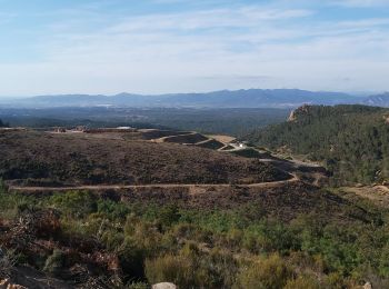 Trail Nordic walking Puget-sur-Argens - lieutenante - Photo