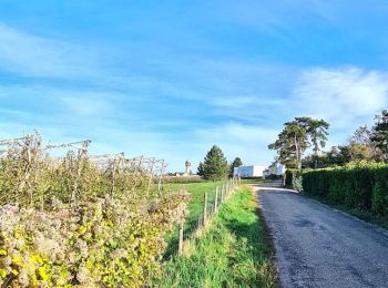 Trail On foot Saint-Genis-Laval - Les Collonges - Malataverne - Beaunant - Photo