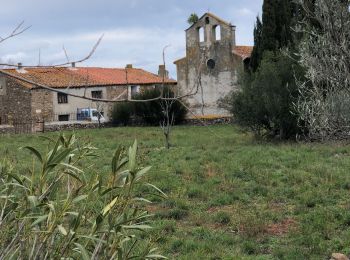 Trail Walking Latour-de-France - Latour de France 08/12/2021 - Photo