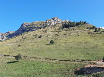 Randonnée Marche Châtel-en-Trièves - Arête de Rattier depuis le col de la brêche - Photo