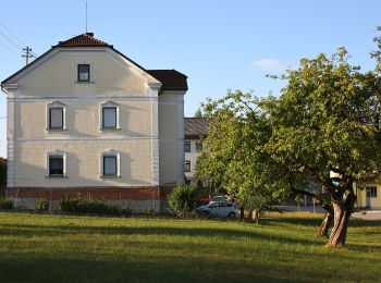 Randonnée A pied Münzkirchen - Höhenweg - Photo