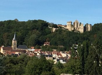 Excursión Bici de montaña Chevreuse - Château Méridon Breteuil Chevreuse - Photo