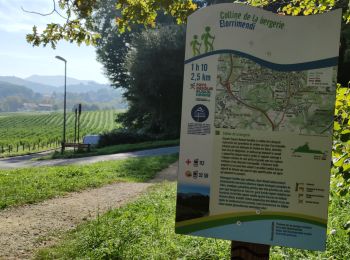 Tocht Stappen Cambo-les-Bains - CAMBO la colline de la bergerie  - Photo